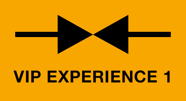 Vip Experience Gran Teatro Geox per 1 persona